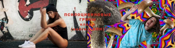 мяу мяу кристалл Каменка