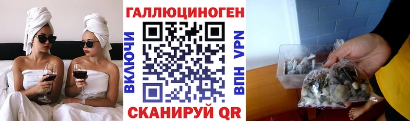 Купить закладки  Переславль-Залесский  Псилоцибиновые грибы GOLDEN TEACHER 